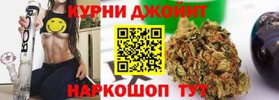 гидра Кингисепп