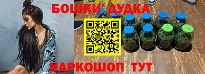 гидра Кингисепп