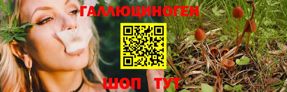 Галлюциногенные грибы прущие грибы Котельники