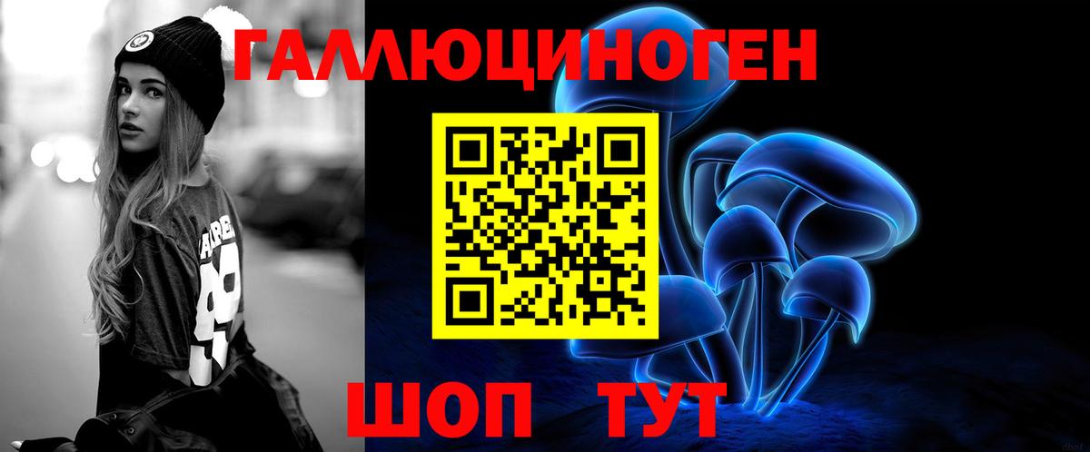 Котельники  Псилоцибиновые грибы GOLDEN TEACHER  Вход с VPN 